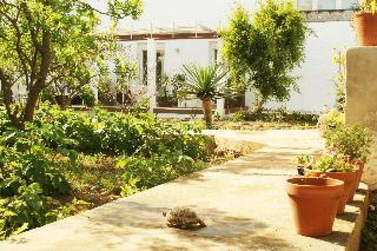 Hotel Abril 37