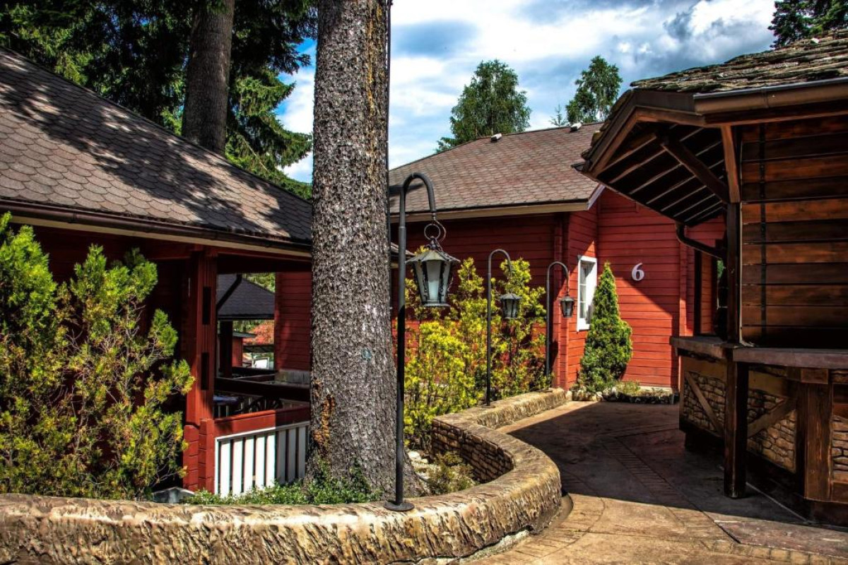 Hotel Alpin Borovets