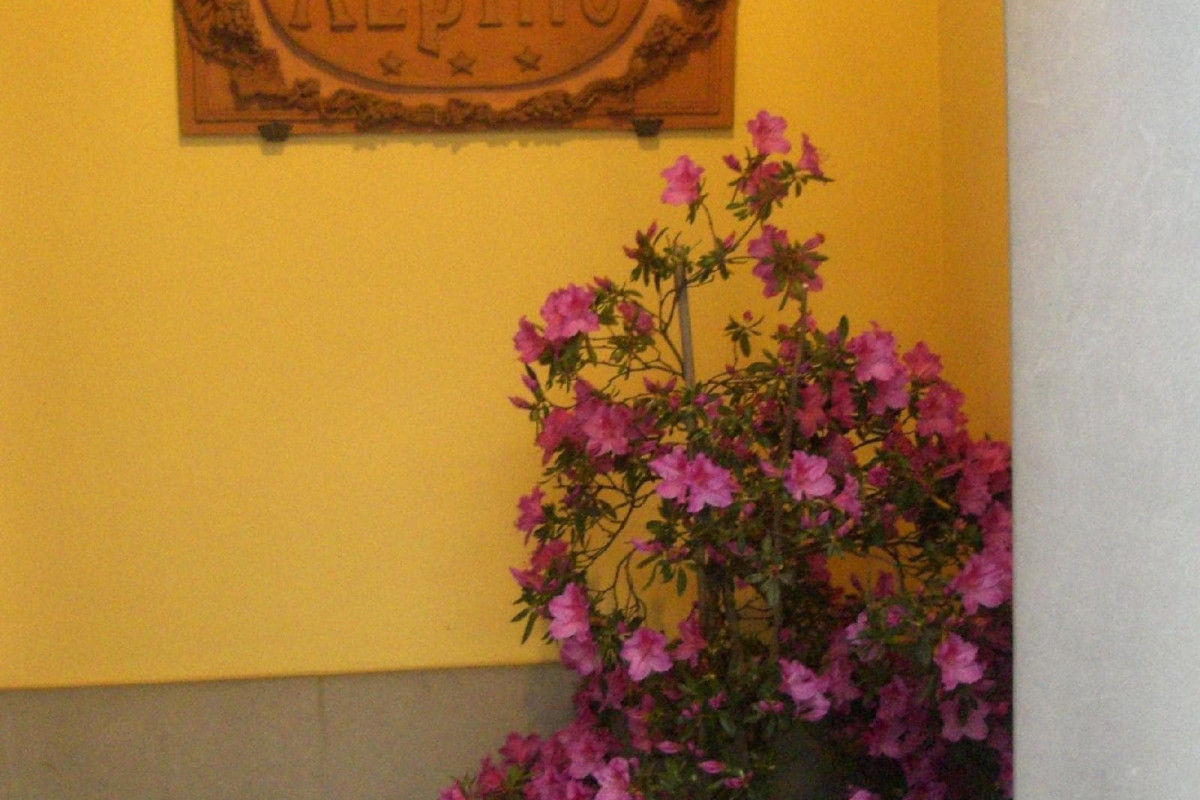Hotel Alpino