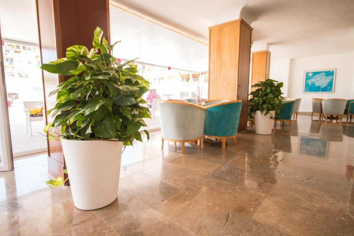 Hotel Amic Miraflores