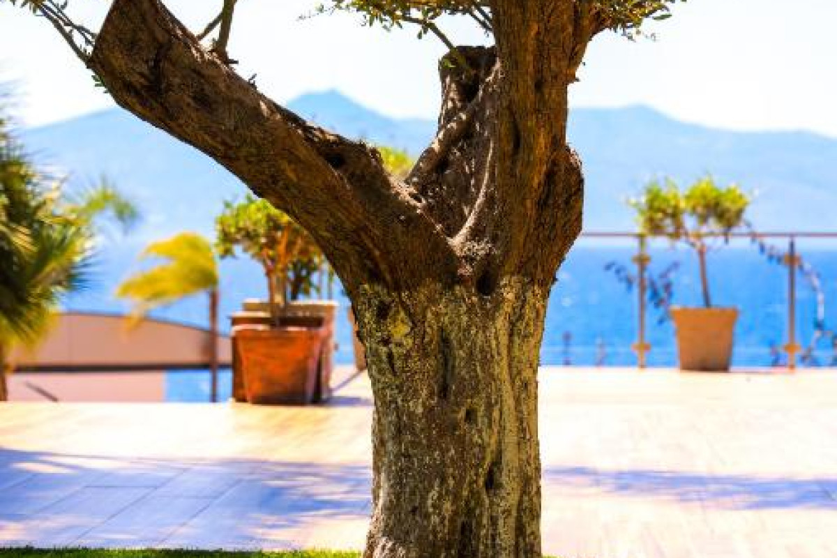 Hotel Apollon