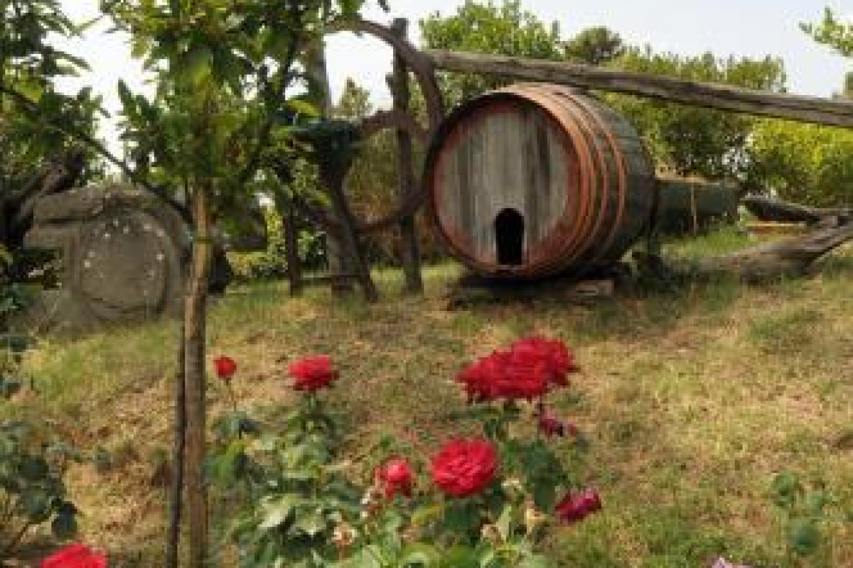 Hotel Archimede