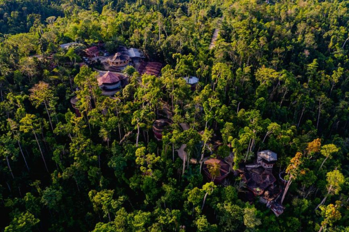 Hotel Atremaru Jungle Retreat
