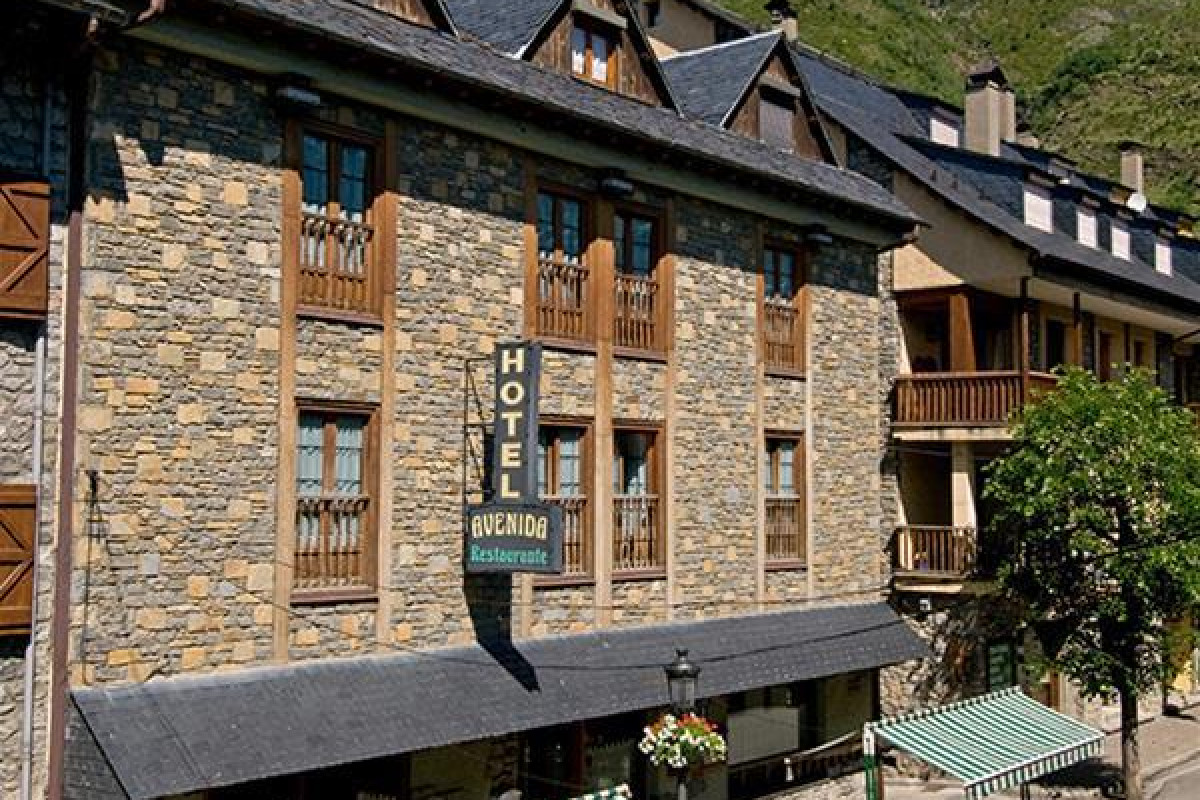 Hotel Avenida Benasque