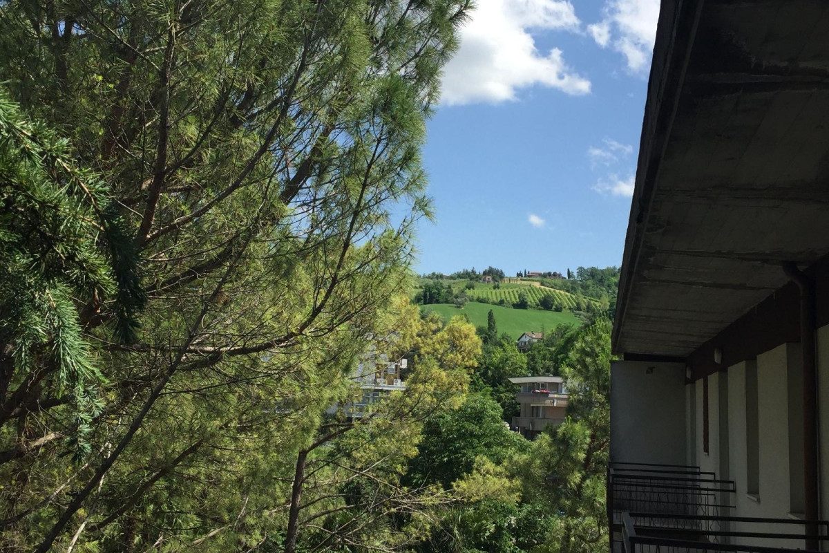 Hotel Belvedere