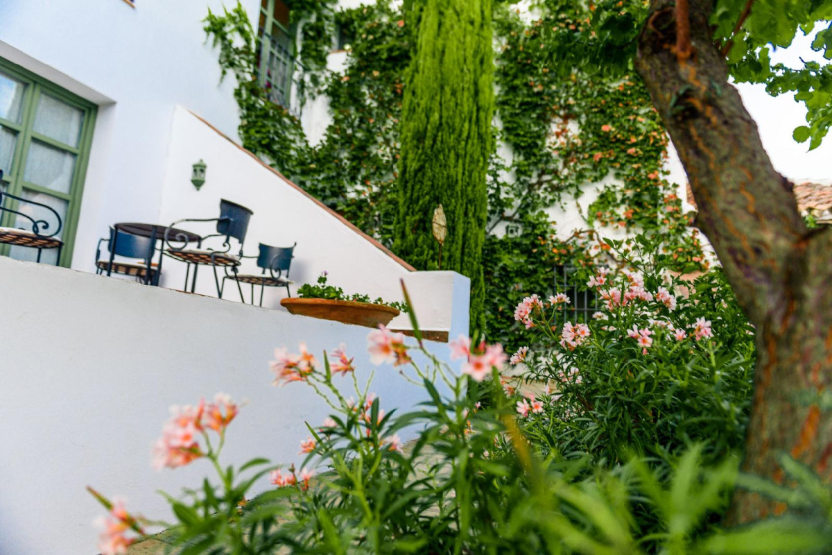 Hotel Boutique Molino Del Arco