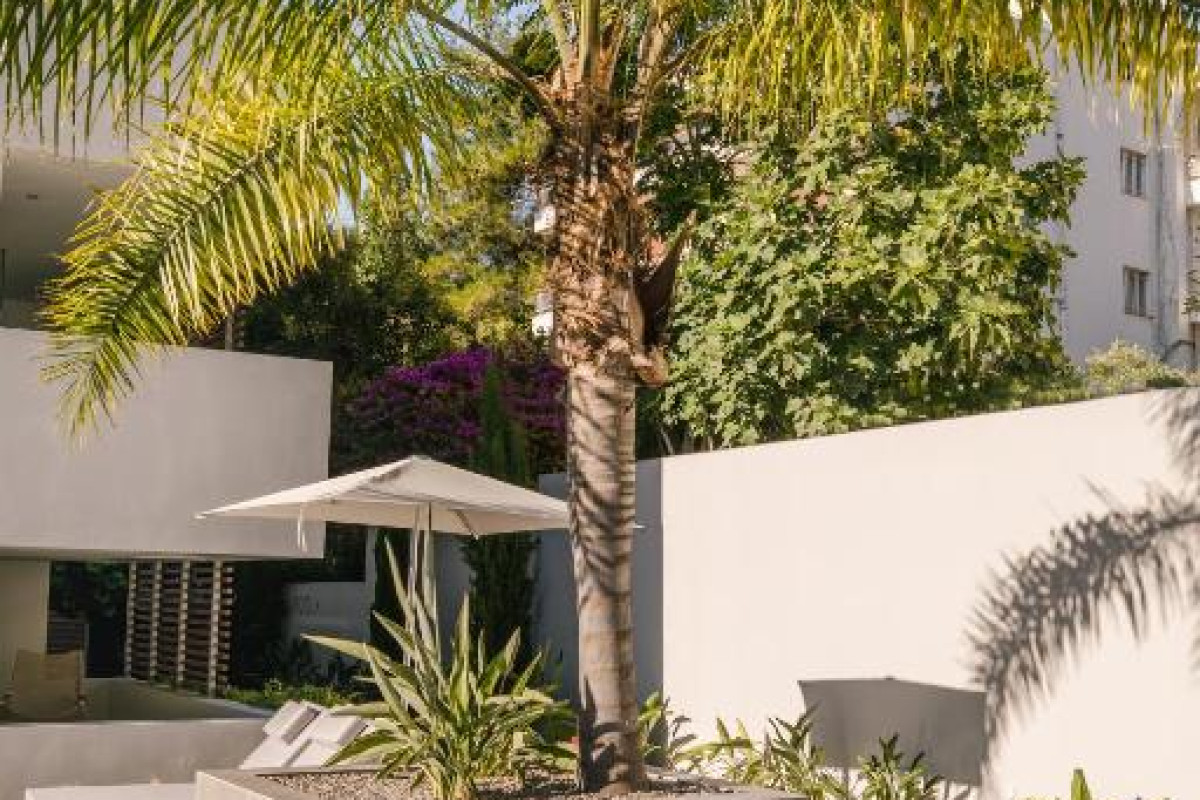 Hotel Brasil Suites Boutique