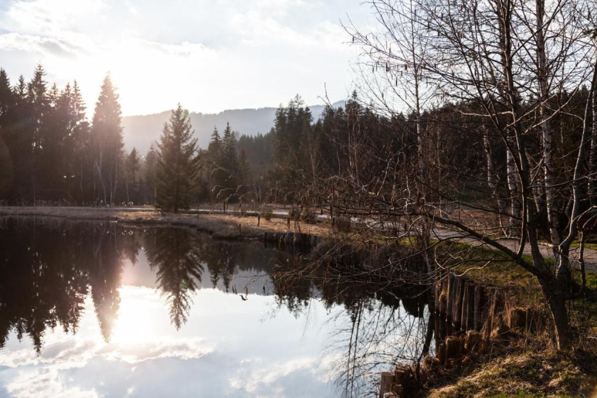 Hotel Bruggerhof