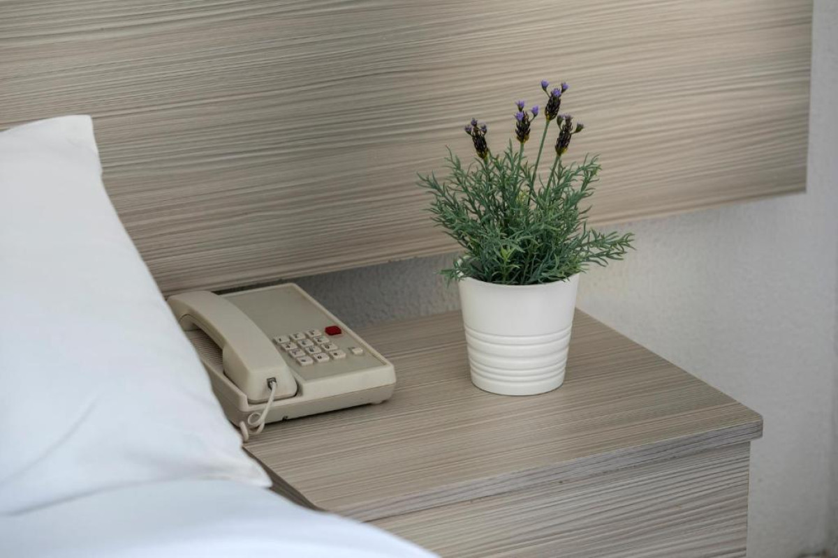 CACTUS HOTEL