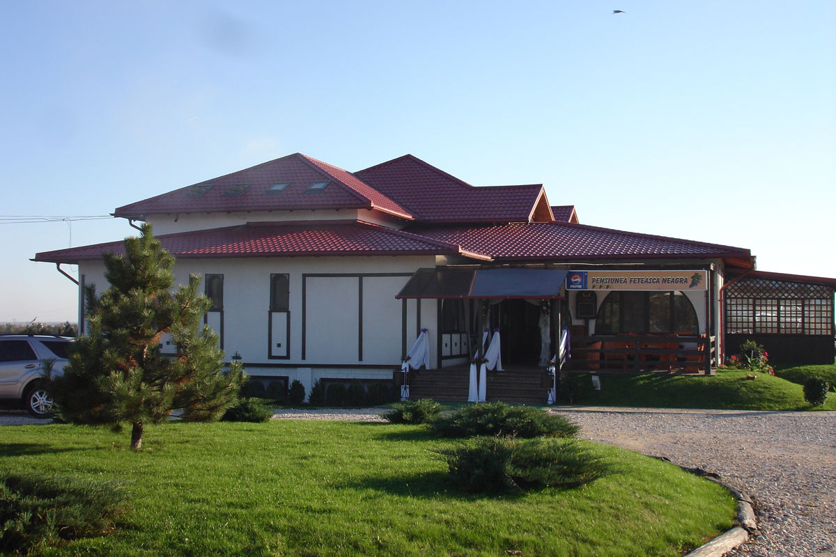 Feteasca Neagra