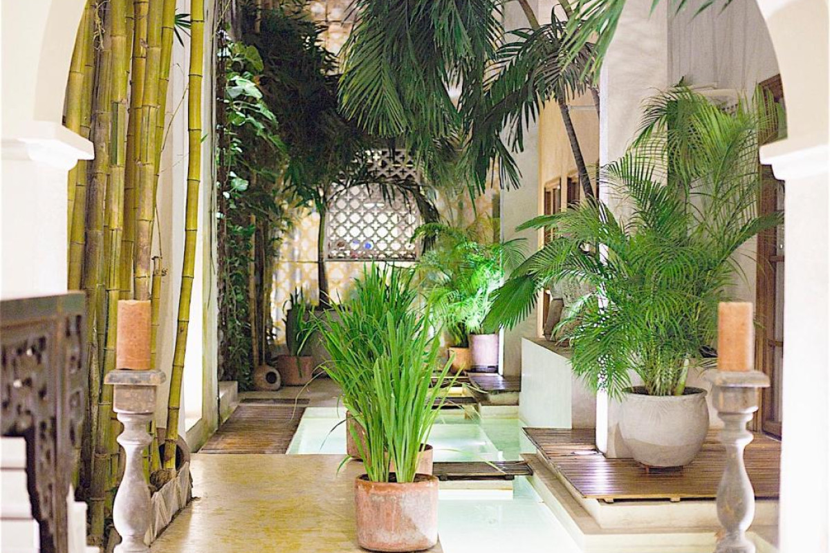 Hotel Casa Lola Deluxe Gallery
