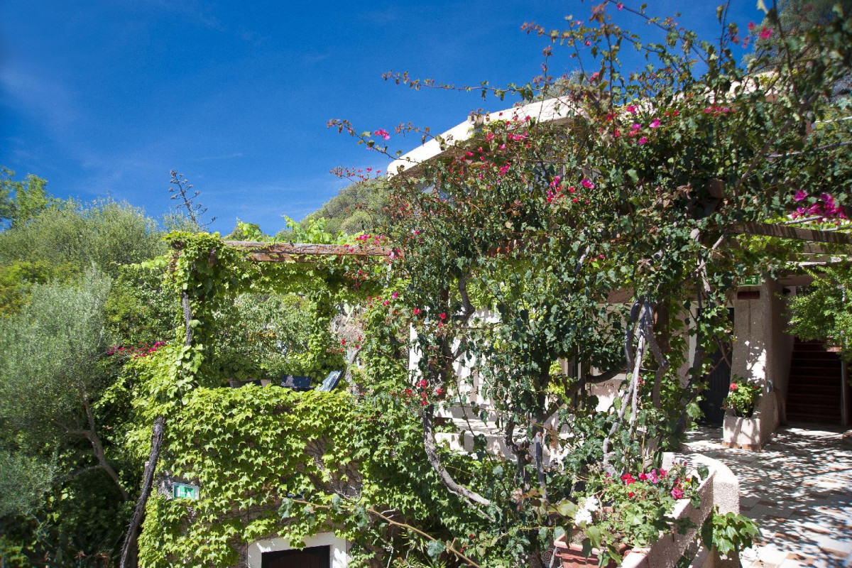Hotel Costa Dorada