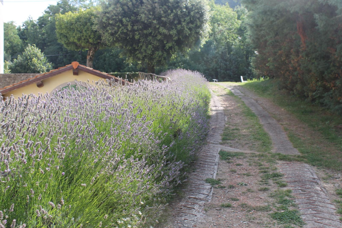Hotel Croce Di Savoia