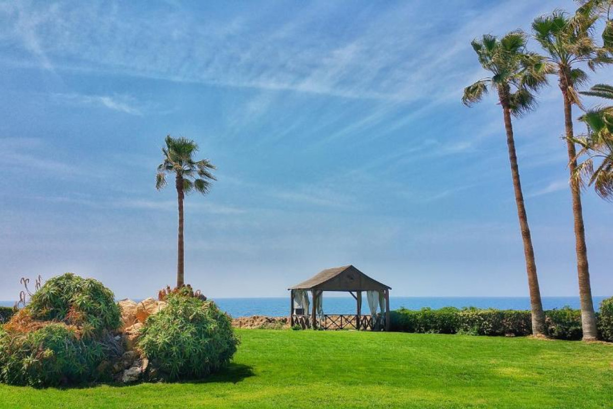 Hotel Cynthiana Beach