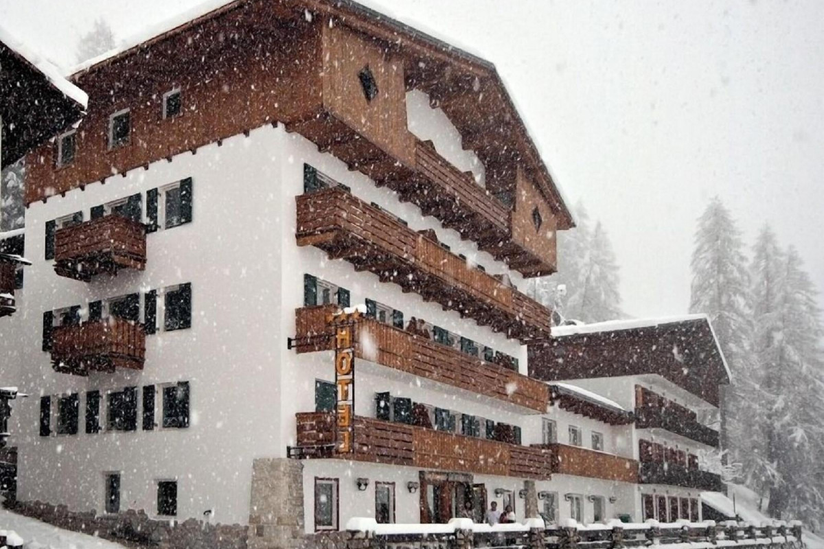 Hotel Des Alpes
