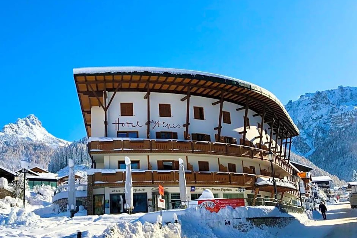 Hotel Des Alpes