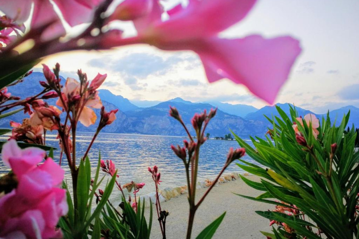 Hotel Drago - Garda Lake Collection