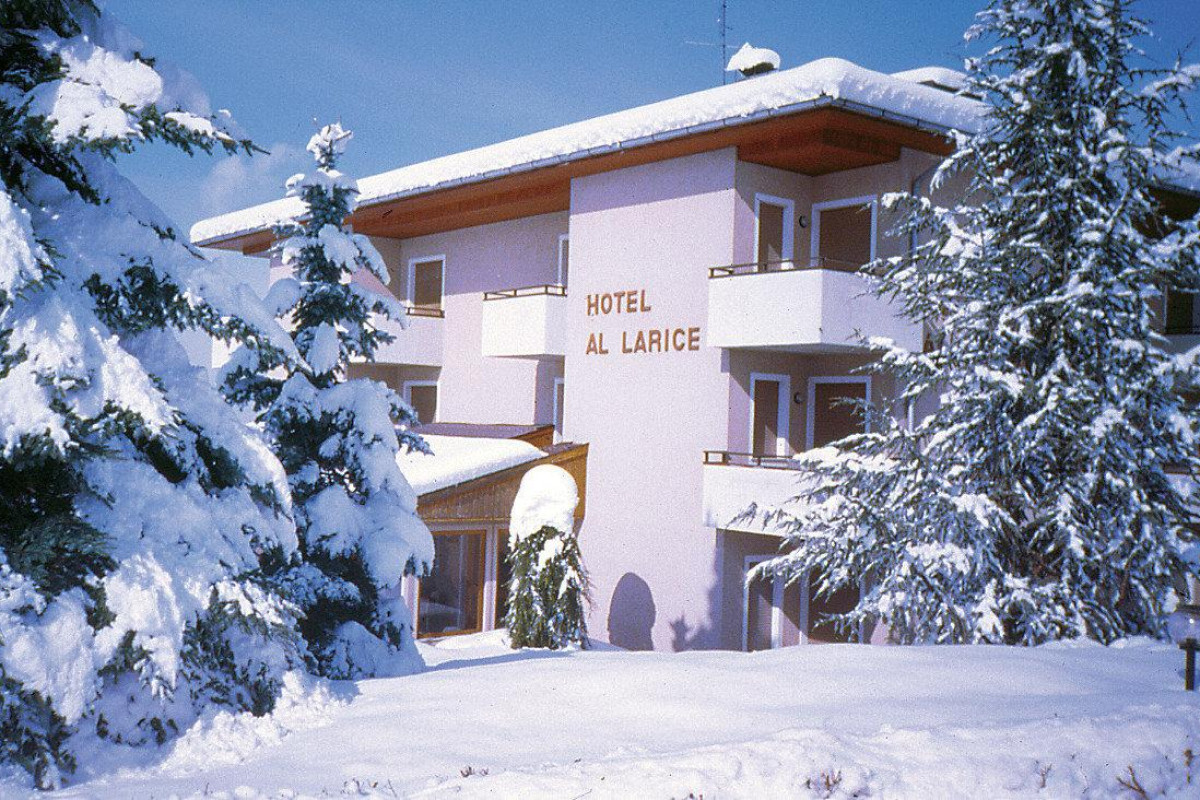 Hotel e Appartamenti Al Larice