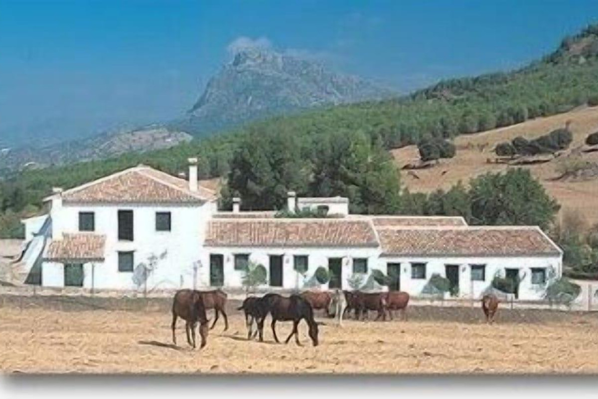 Hotel El Horcajo