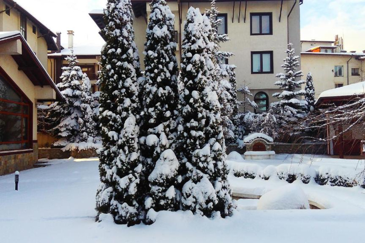 Hotel Evelina Palace