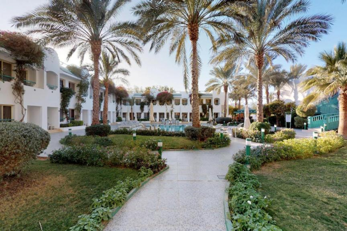 FALCON HILLS_