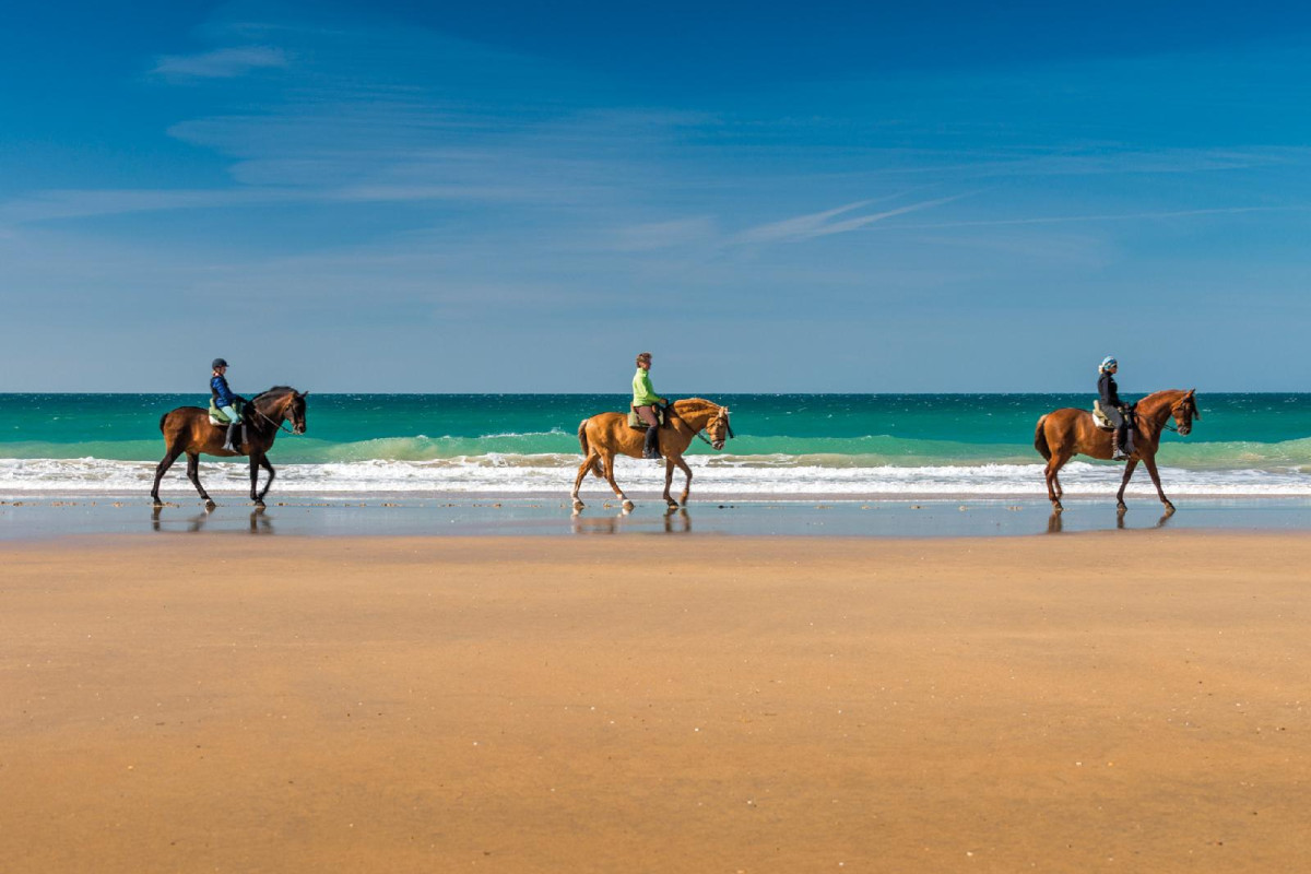 Hotel Fuerte Conil-Resort
