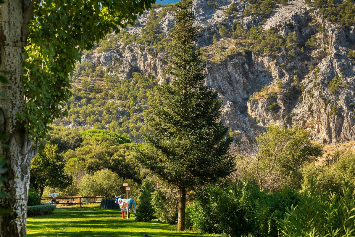 Hotel Fuerte Grazalema