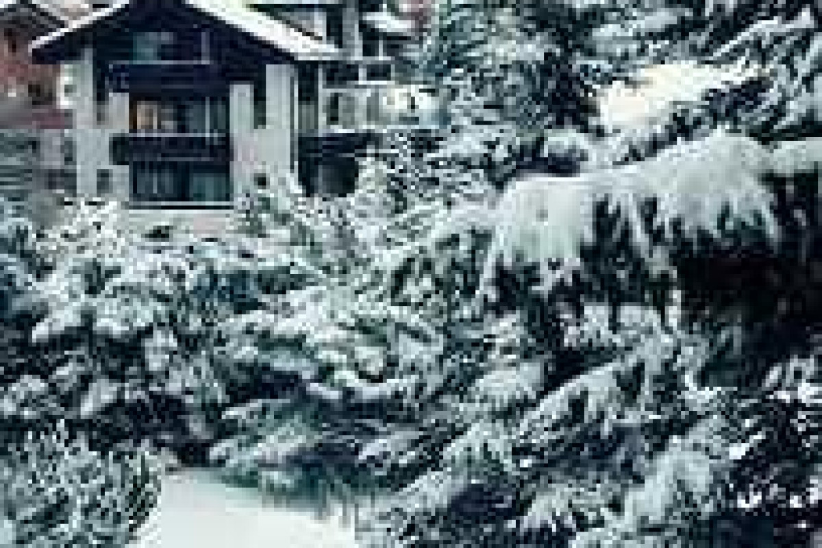Hotel Garni Imseng