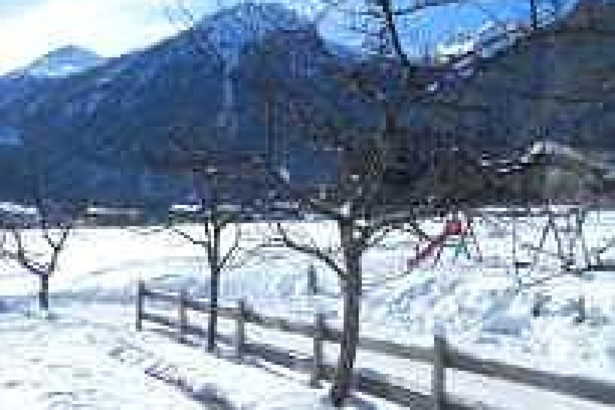 Hotel - Gasthof Zur Post
