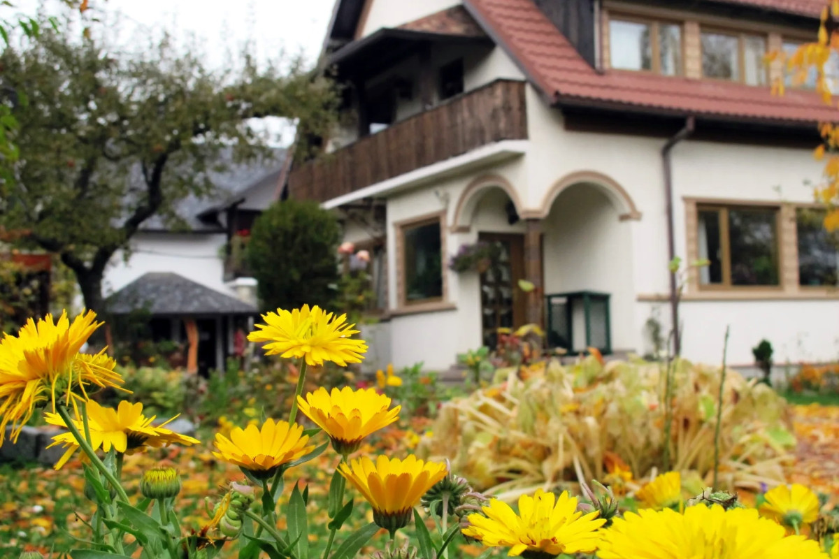 Pensiunea Hilde s Residence