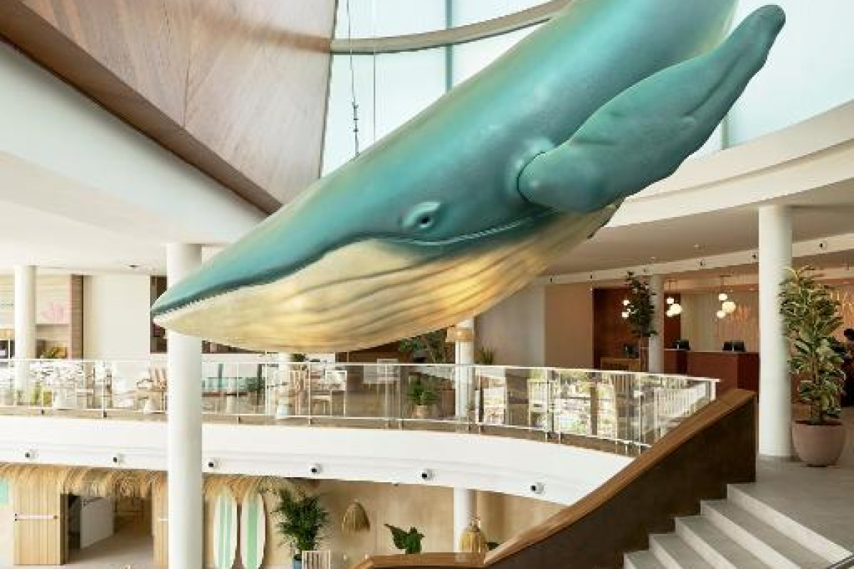 Hotel Iberostar Waves Gaviotas Park