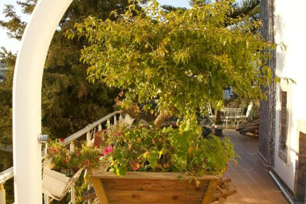 Hotel Ilio Boutique