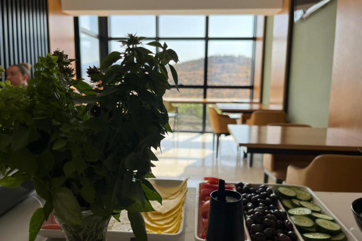 Hotel Inada