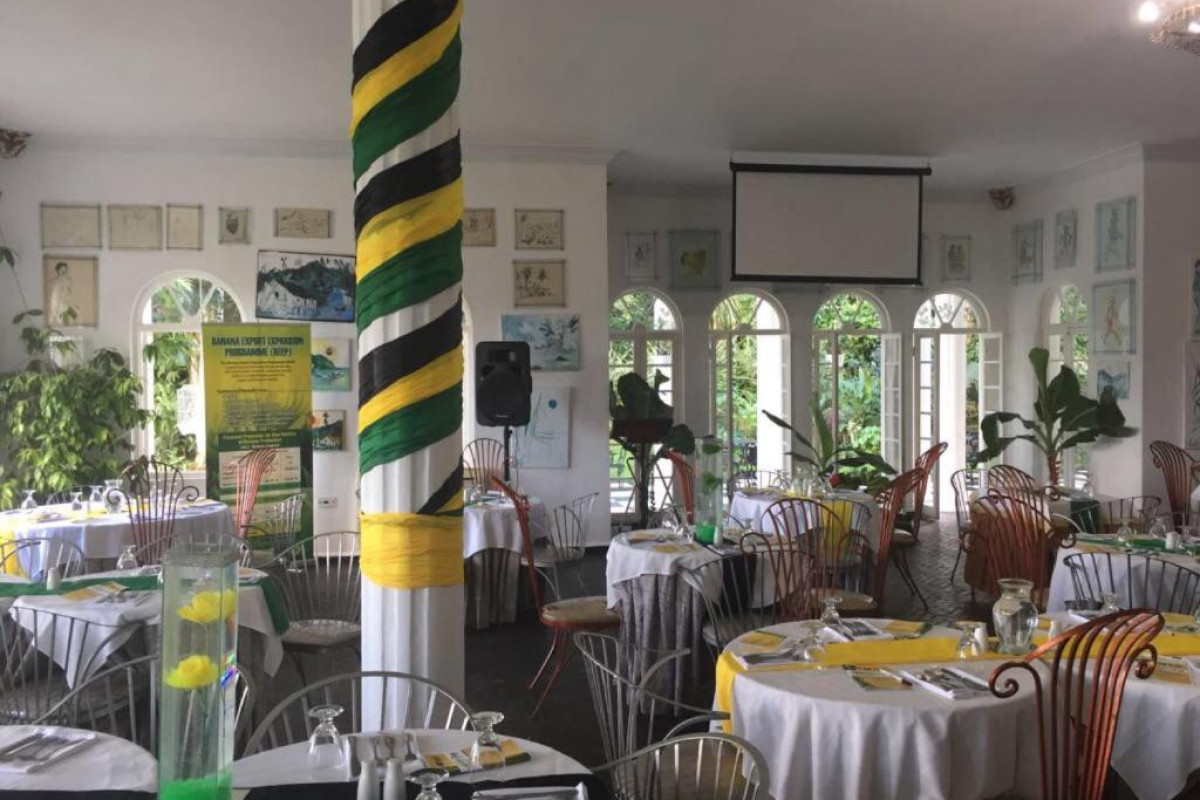 Hotel Jamaica Palace