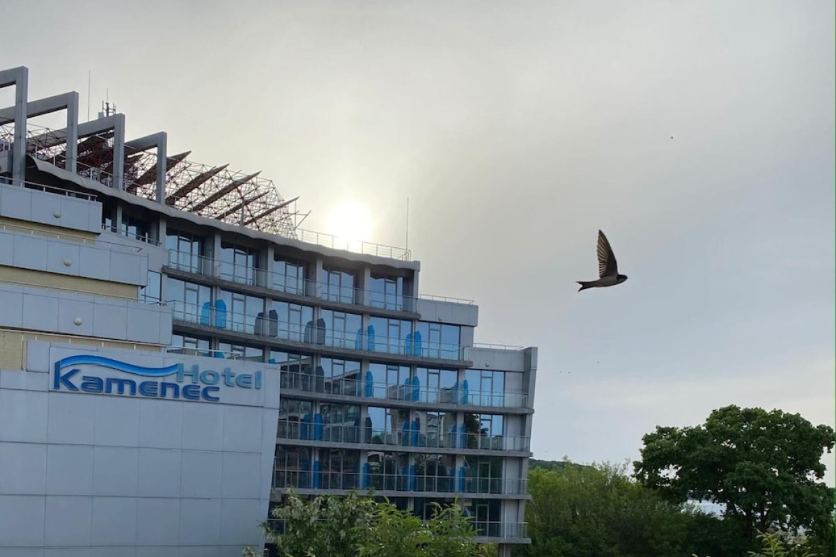 HOTEL KAMENEC