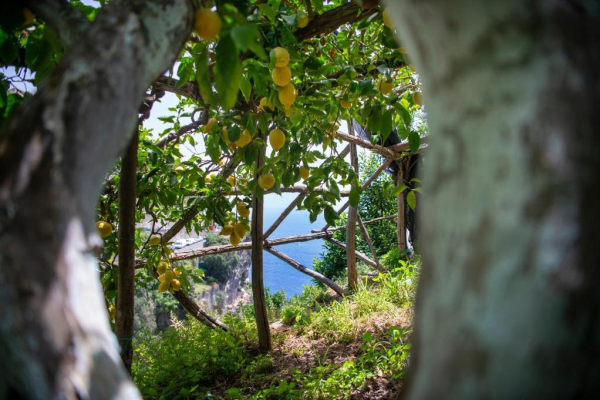 Hotel La Pergola
