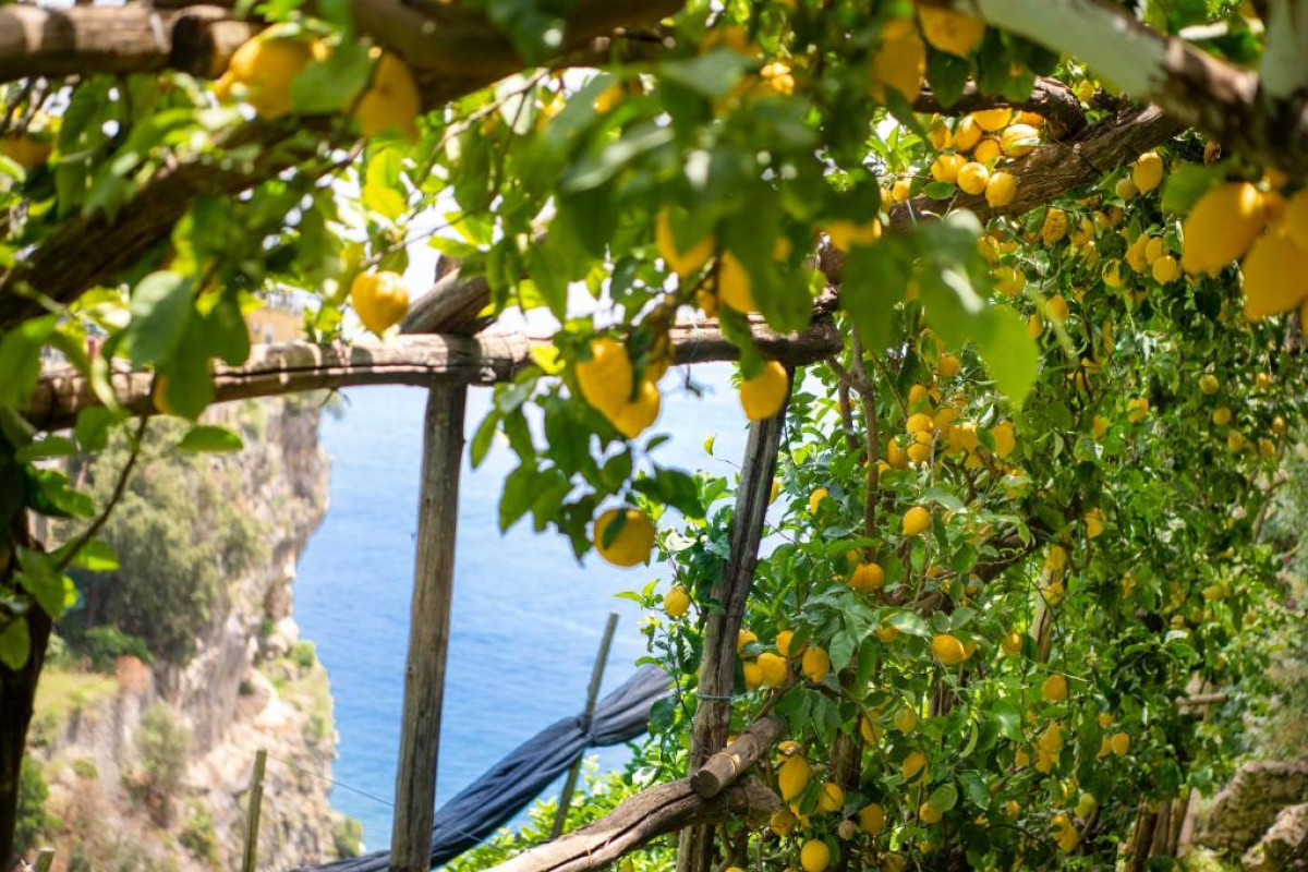 Hotel La Pergola