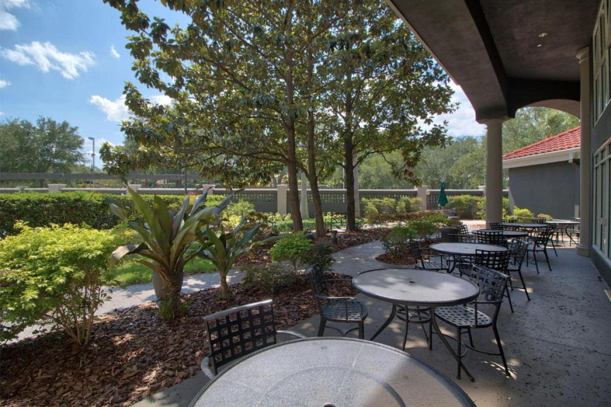 Hotel La Quinta by Wyndham Orlando I Drive/Conv Center