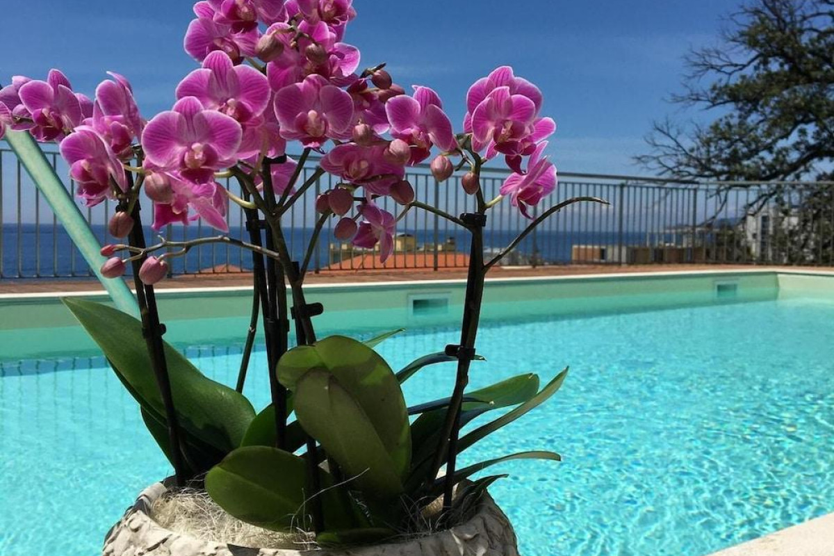 Hotel Mediterraneo