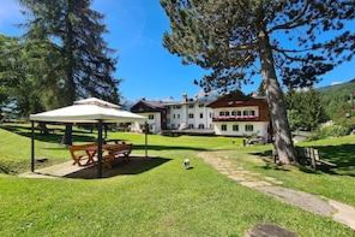 Menardi