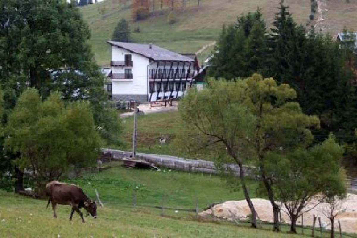 Casa Muntelui CMP