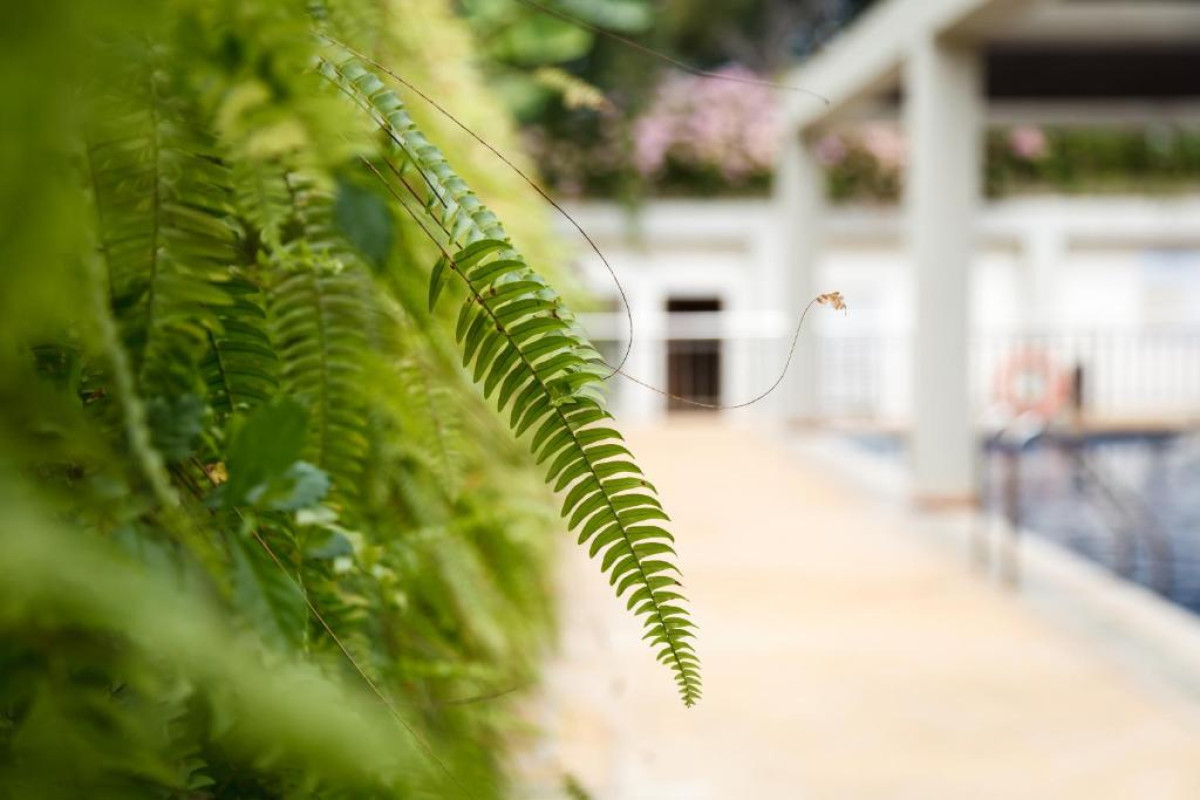 Hotel Munting Paraiso