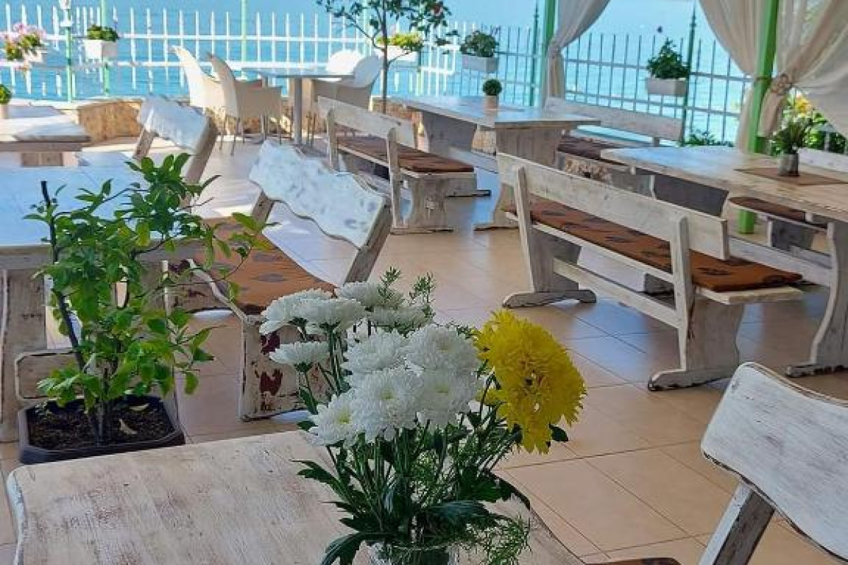 Hotel Oasis