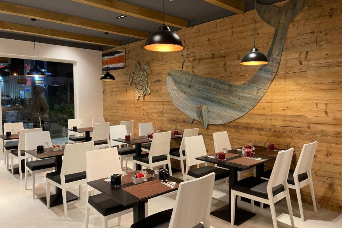 Hotel Oasis White