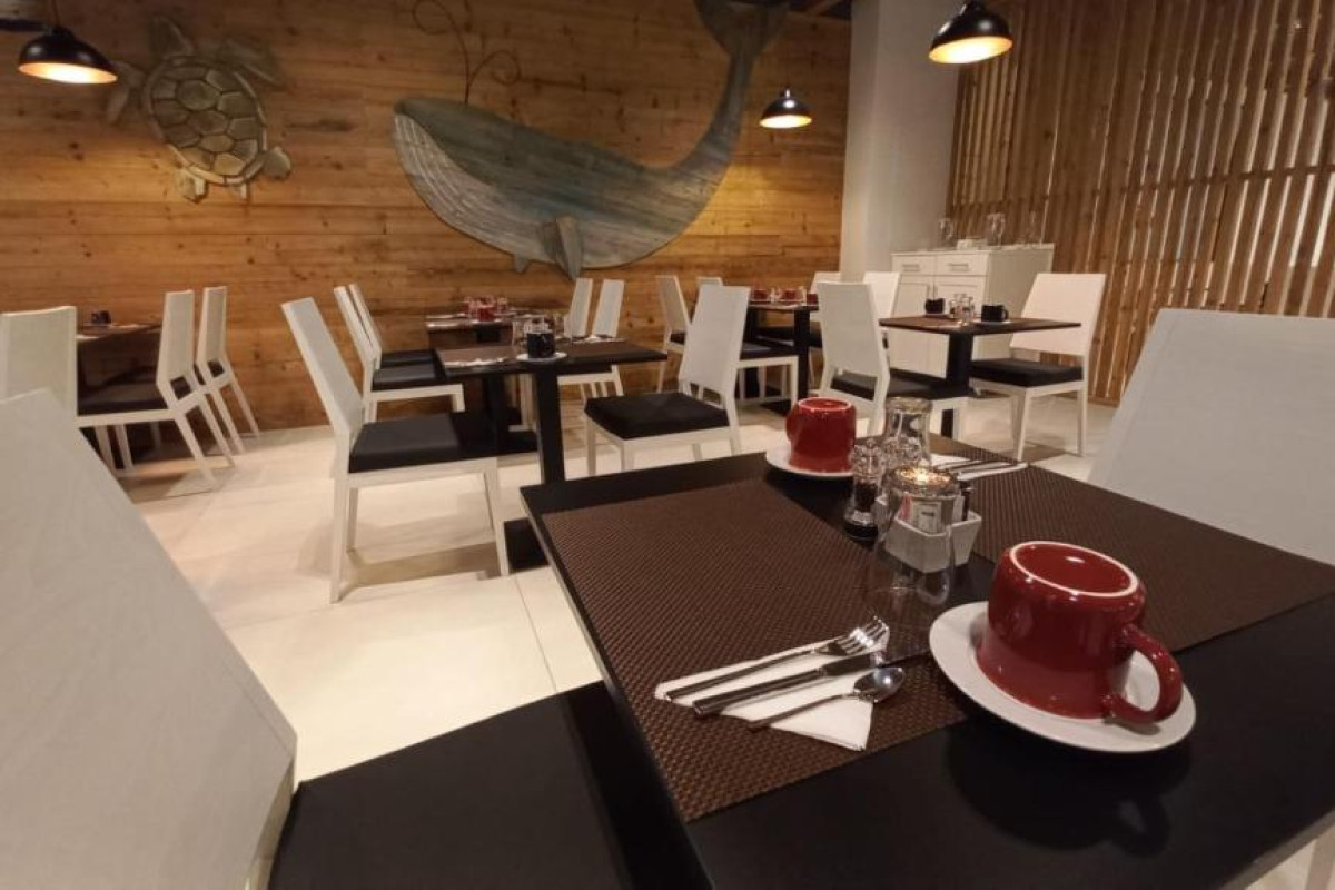 Hotel Oasis White