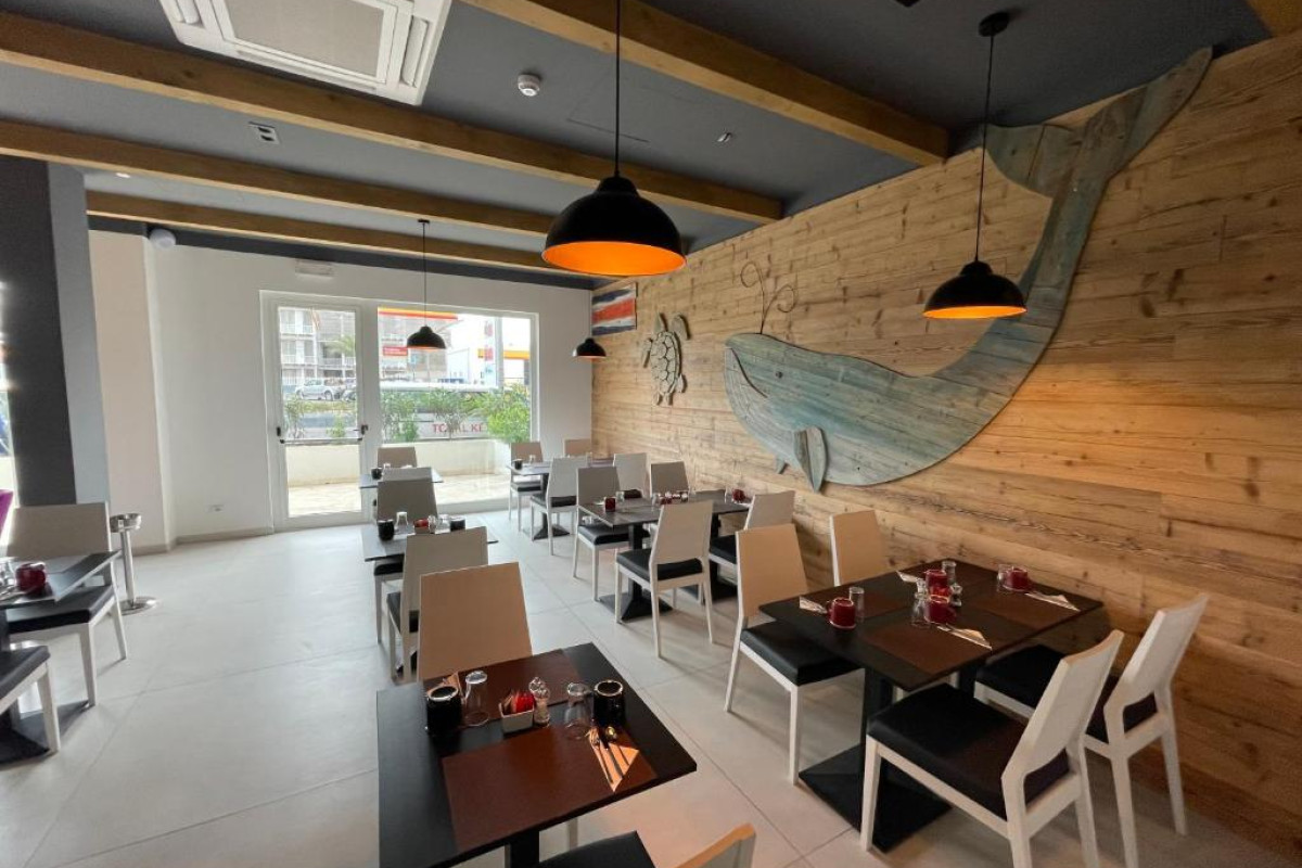 Hotel Oasis White