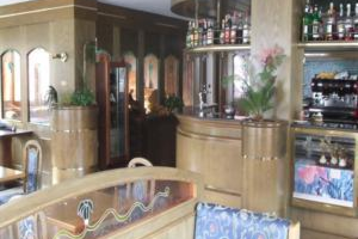 Hotel Orso Grigio