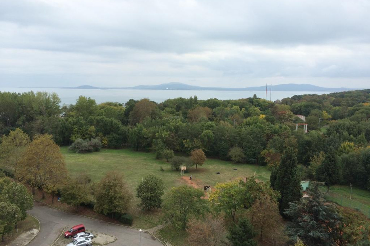 HOTEL PARK