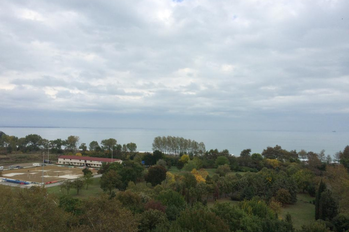 HOTEL PARK