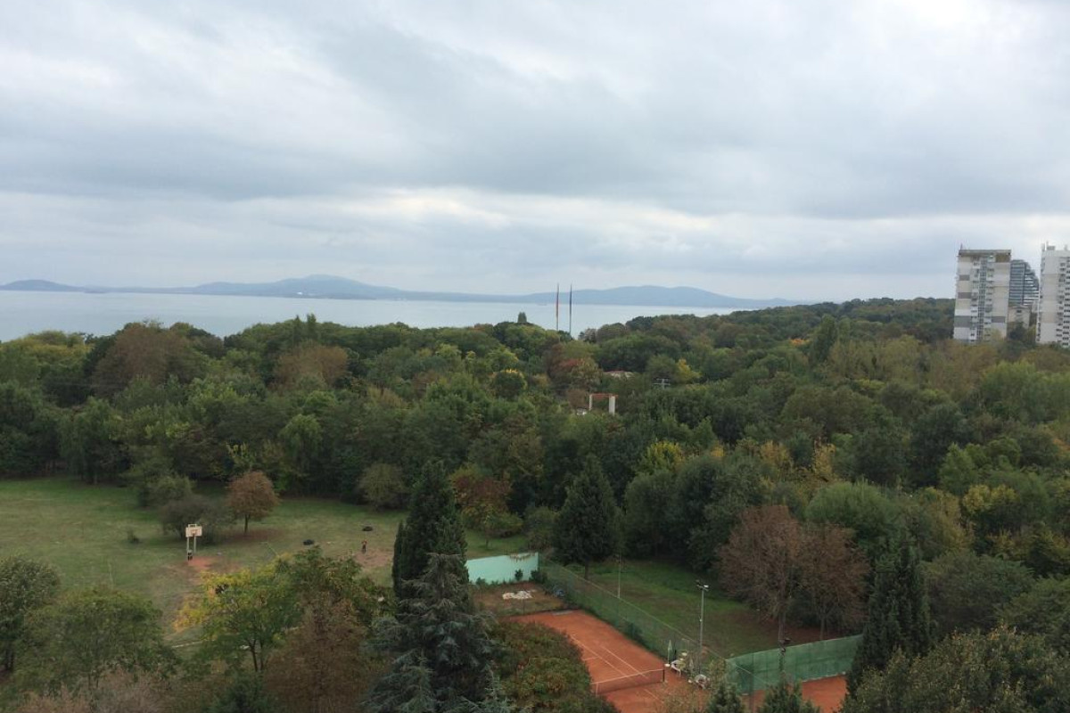 HOTEL PARK
